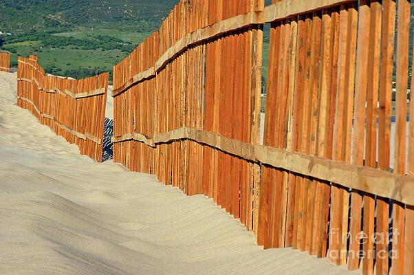 Beach Wall Art featuring the photograph Fenced Sand Dunes At The Beach In Tarifa by Sami Sarkis Photography