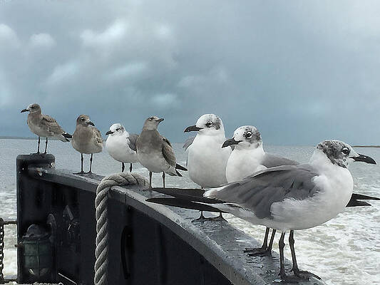 Digital Art - Ferry Passengers by Gina Harrison