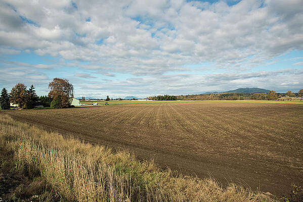 Farm Photograph - Fields In Waiting by Tom Cochran