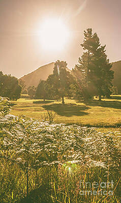Rustic Photograph - Fields Of Springtime by Jorgo Photography