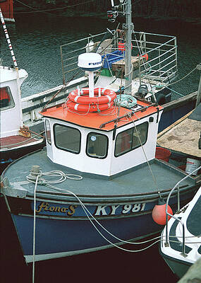 Wall Art featuring the photograph Fiona S by Kenneth Campbell