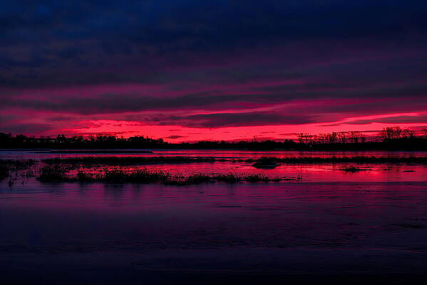 Wild Photograph - Fire And Ice Sunrise by Dale Kauzlaric