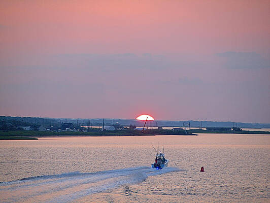 Photograph - First Light by Robert Newman