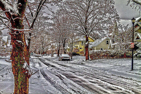 Winter Photograph - First Snow by William Norton