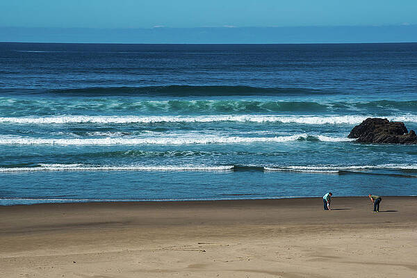 Oregon Wall Art featuring the photograph First Steps On The Sand by Tom Cochran