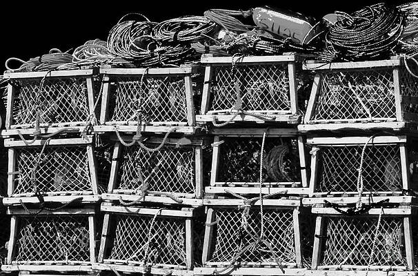 Wall Art featuring the photograph Fisherman's Traps by Debra Banks