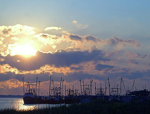 Wall Art featuring the photograph Fleet I I by Robert Newman
