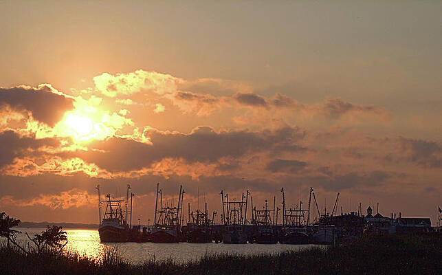 Photograph - Fleet by Robert Newman