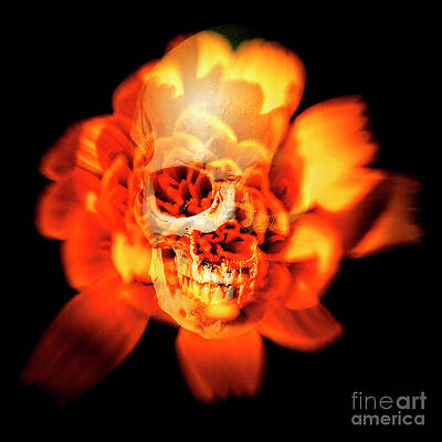 Natural Wall Art featuring the photograph Flower Skull by Jorgo Photography