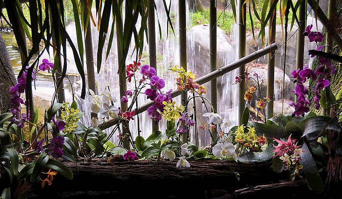 Nature Wall Art featuring the photograph Flowers And Waterfall by Steven Sparks