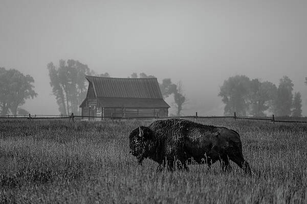 Wyoming Wall Art featuring the photograph Foggy Range- Black And White by Jeff Stoddart