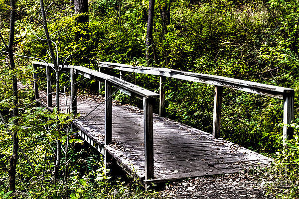 Architecture Wall Art featuring the photograph Foot Bridge by William Norton