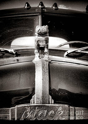 Mack Truck Bulldog Emblem Photograph