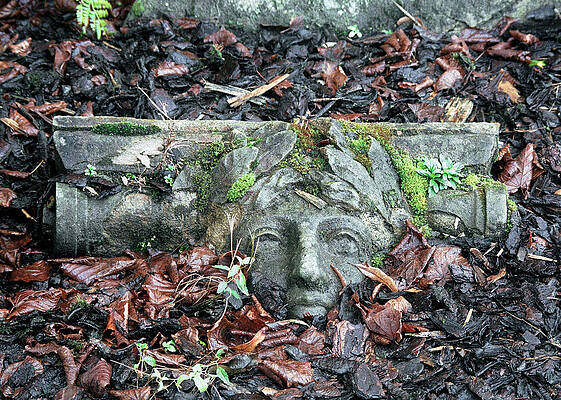 Wall Art featuring the photograph Found by Kenneth Campbell