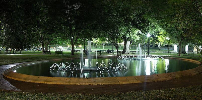 Tree Wall Art featuring the photograph Fountain At Night by Ed Clark
