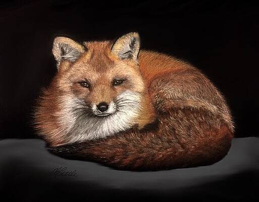 Wall Art featuring the pastel Foxy by Marlene Little