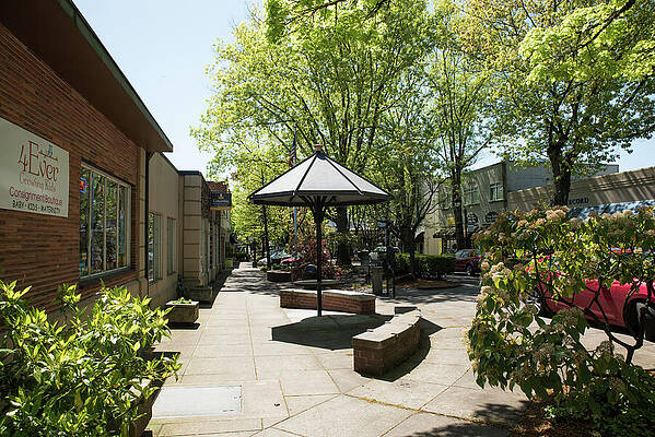 May Photograph - Free Shade In Camas by Tom Cochran