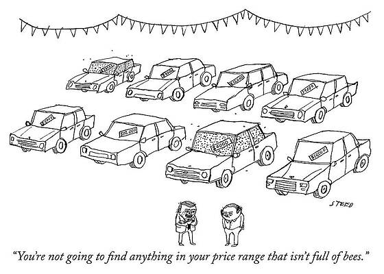 Bee-Infested Car Lot Wall Art