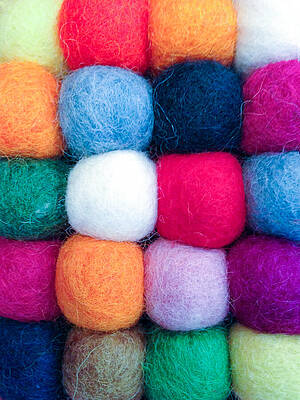 Color Wall Art featuring the photograph Fuzzy Wuzzies by Rick Locke - Out of the Corner of My Eye