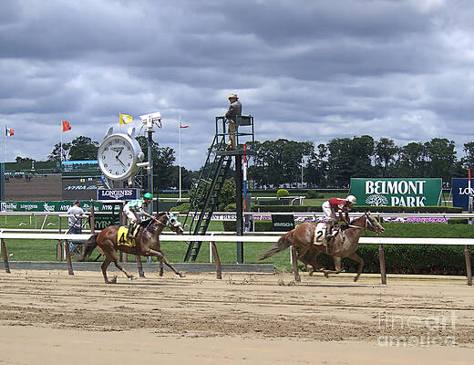 Wall Art featuring the photograph Galloping Out by Robert Newman