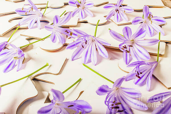 Natural Wall Art featuring the photograph Games Of Romance by Jorgo Photography