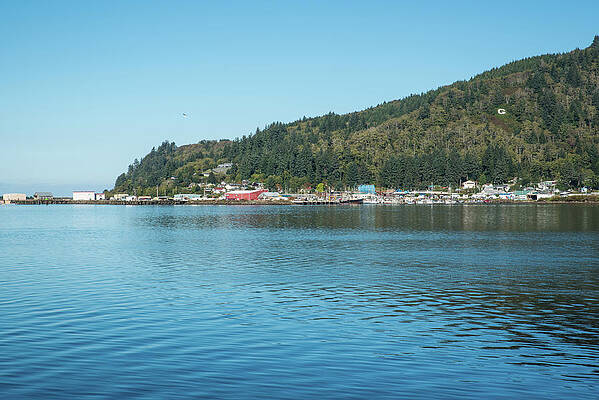 Oregon Wall Art featuring the photograph Garibaldi Oregon by Tom Cochran