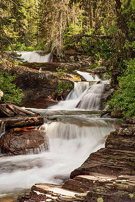 Photograph - Glacier National Park Cascades by Matt Halvorson