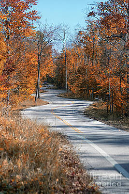 Wall Art featuring the photograph Golden Winding Road by Duluth To Door County Photography