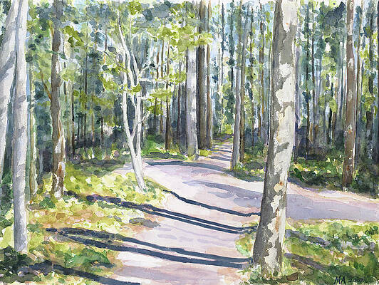 Goldeye Woods by Madeleine Arnett
