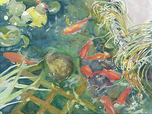 Goldfish Pond 2 by Madeleine Arnett