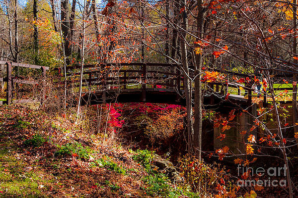Architecture Wall Art featuring the photograph Gorge Crossing by William Norton