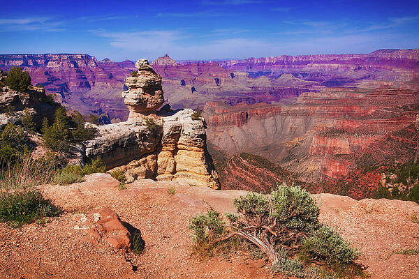 Wall Art featuring the photograph Grand Canyon Arizona by Tatiana Travelways