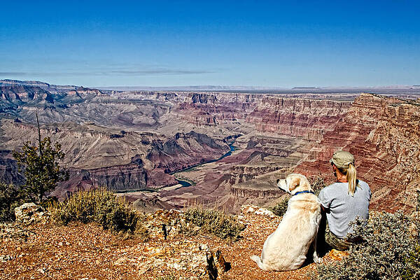 Mountain Wall Art featuring the photograph Grand Canyon Girl And Dog by Waterdancer