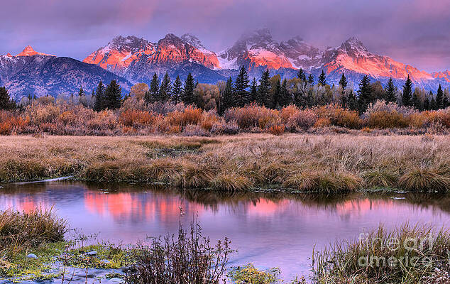 Sunrise Wall Art featuring the photograph Grand Teton Pink Stripe Sunrise by Adam Jewell