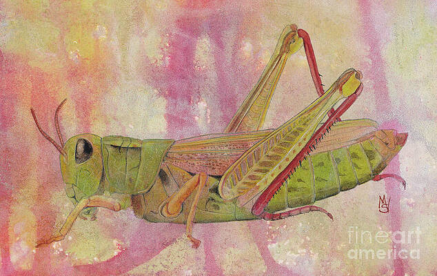 Wall Art featuring the painting Grasshopper by Marie Stone-van Vuuren