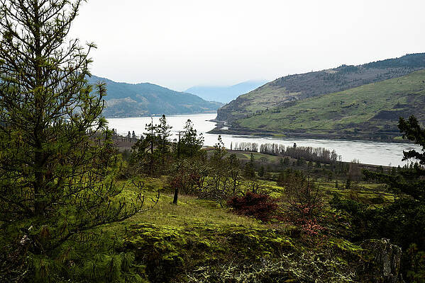 Oregon Wall Art featuring the photograph Gray Skies Around The Bend by Tom Cochran