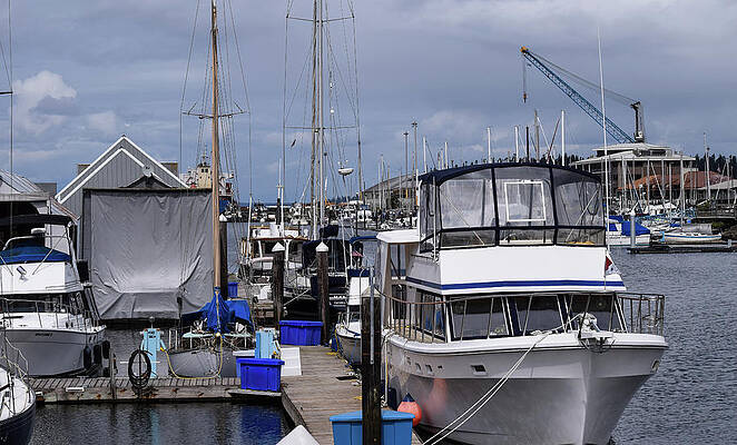 Sky Wall Art featuring the photograph Gray Skies Over Budd Inlet by Tom Cochran