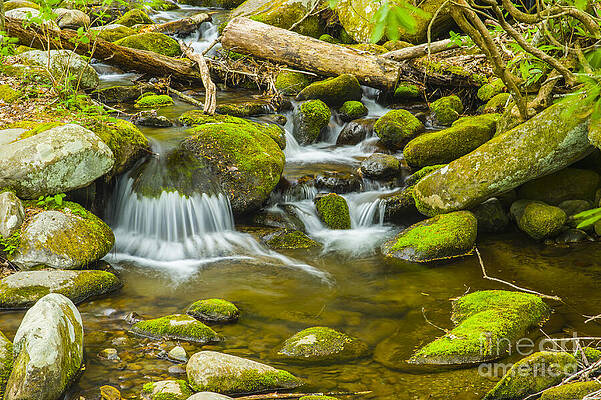 Wall Art featuring the photograph Relaxing Meditation View Of Great Smoky Mountains National Park River by Stefano Senise