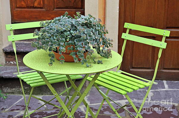 Green Patio Set with Potted Plant Wall Art