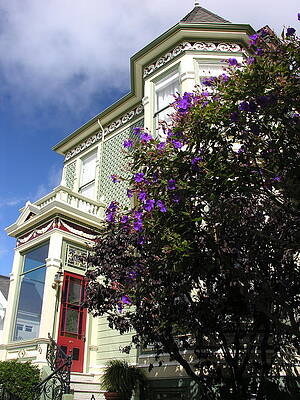 California Wall Art featuring the photograph Green House With Purple Flowers by C Thomas Cooney