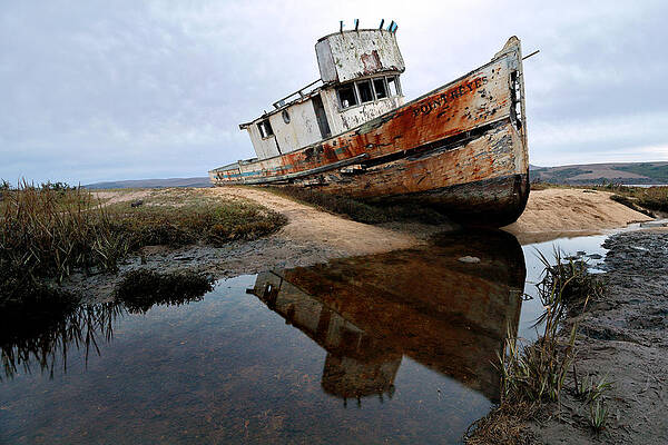 Beach Photograph - Grounded by Nicholas Blackwell