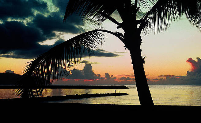 Tropical Sunset by the Sea Photograph