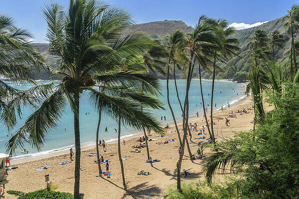 Hawaii Photograph - Hanauma Bay by Steven Sparks
