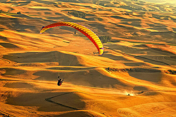 Sky Photograph - Harvest Flyby by Mary Jo Allen