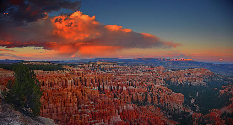 Wall Art featuring the photograph Harvest Moon Over Bryce National Park by Raymond Salani III