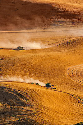Washington Photograph - Harvesting by Mary Jo Allen
