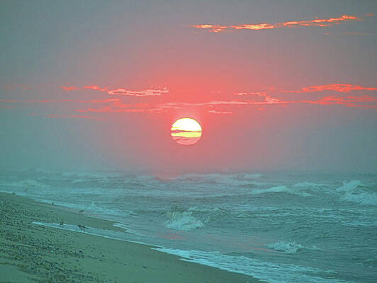 Photograph - Hazy Sunrise I V by Robert Newman
