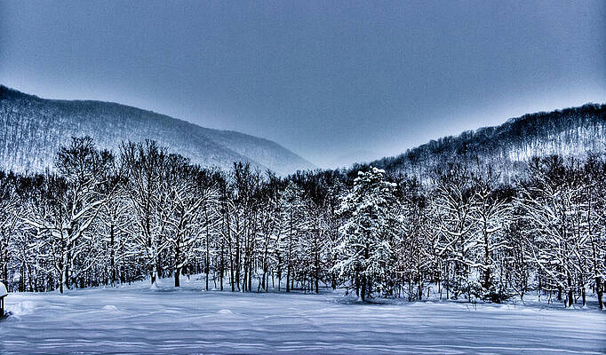Tree Wall Art featuring the photograph HDR Snow Trees by Jonny D