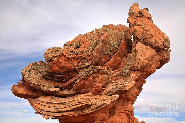 Wilderness Wall Art featuring the photograph Head Of The Glaciator by Adam Jewell