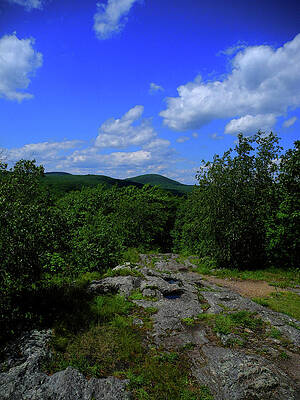 Wall Art featuring the photograph Heading Up Bear Mountain by Raymond Salani III
